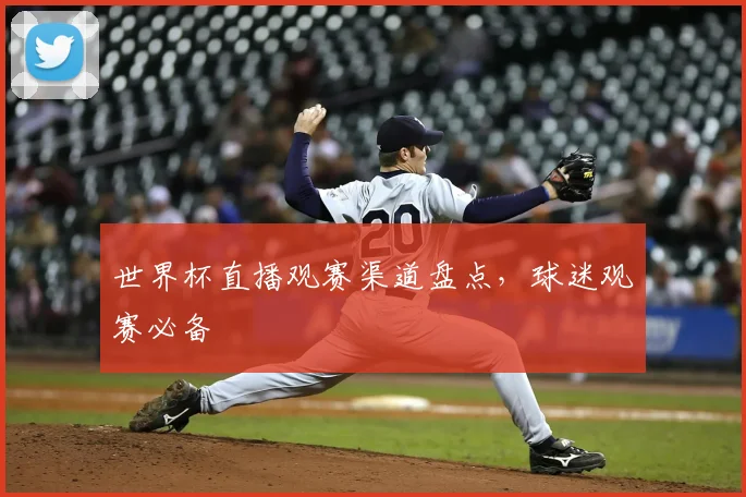 世界杯直播观赛渠道盘点，球迷观赛必备