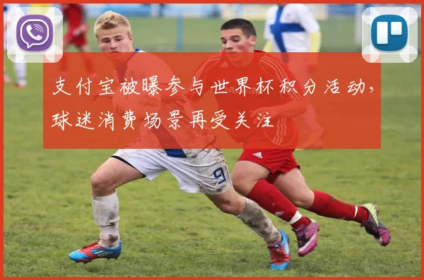 支付宝被曝参与世界杯积分活动,球迷消费场景再受关注