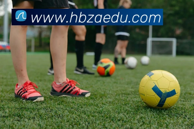 世界杯平台官网登录平台生态图