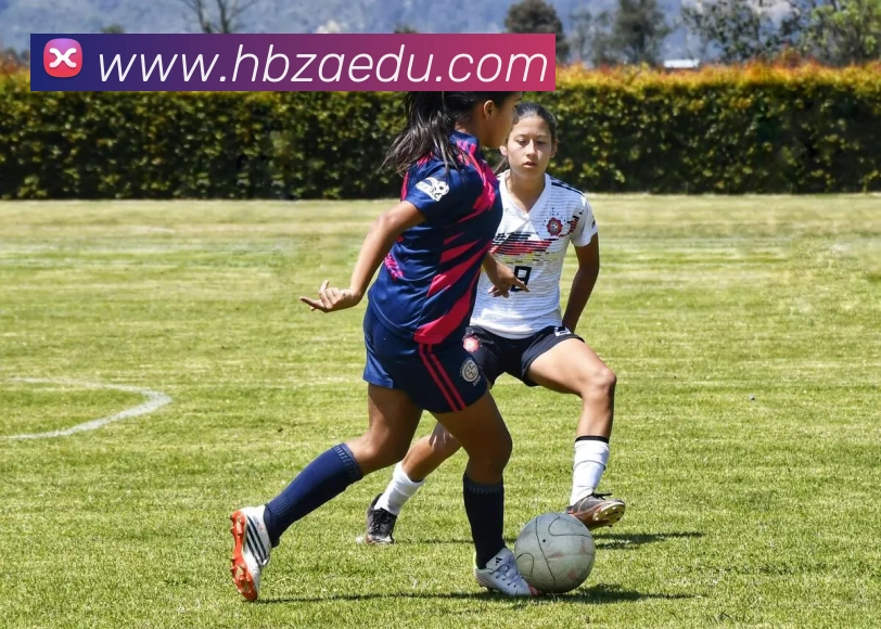 世界杯平台官网登录APP 封面图